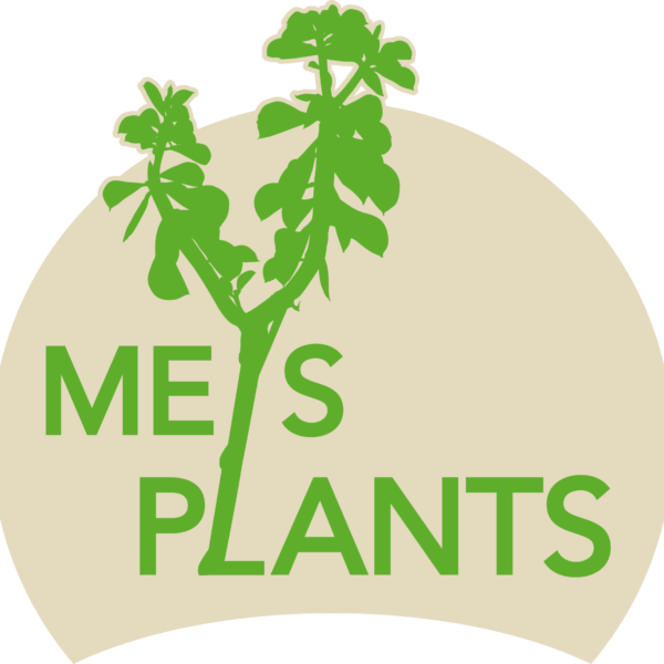 MEYS PLANTS