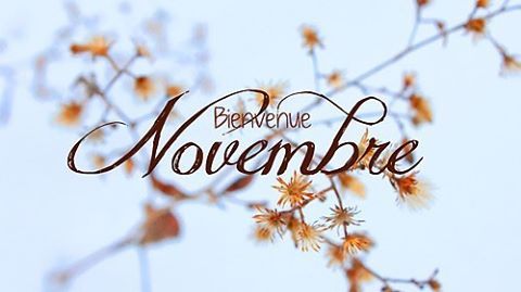 Hello novembre ! 🎃🍬